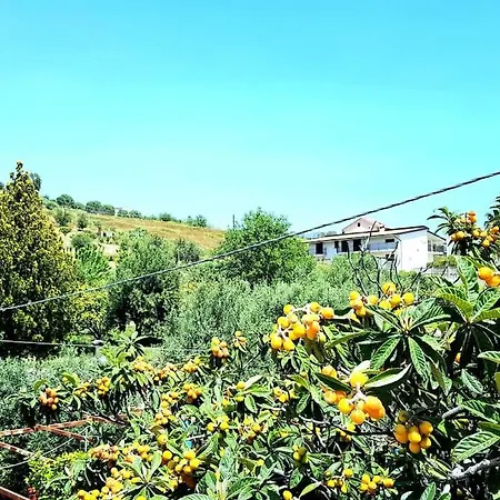 Valle Arangea 公寓