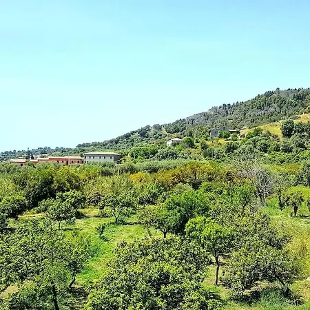 Valle Arangea *